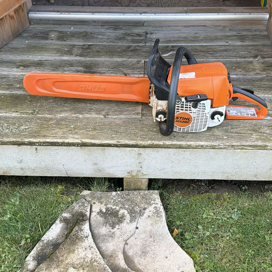 Stihl MS250 Chainsaw - image 2 of 9