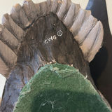 Gosset Wildlife Collection Preening Gadwell Carved Duck Decoy - thumbnail 9 of 12