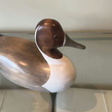 Jim Harkness 1989 Pintail Wooden Duck Decoy - thumbnail 6 of 11