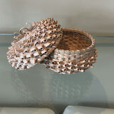 Indigenous Woven Lidded Basket - thumbnail 1 of 10