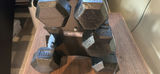 Northern Lights Dumbbell Set with Rack - thumbnail 3 of 8