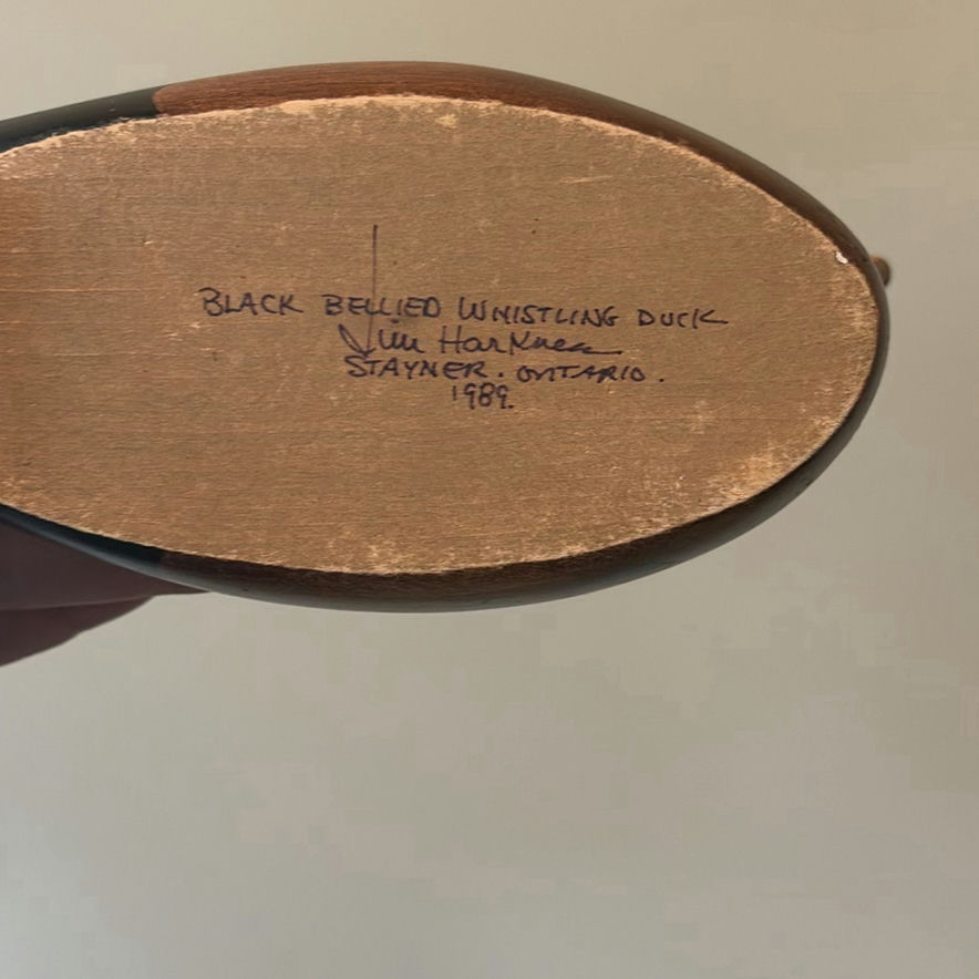 Jim Harkness Wooden Black Bellied Whistling Duck Decoy - image 8 of 9