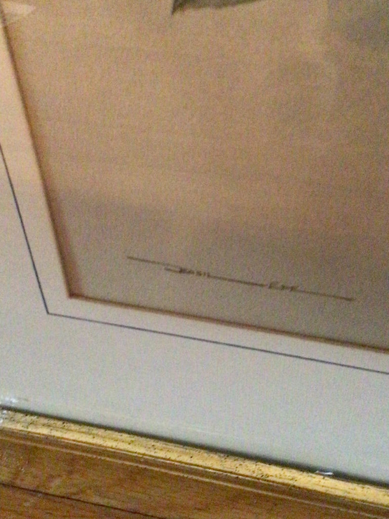 Framed bird and blossom artwork - image 3 of 4