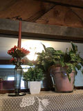 Candle holders and potted plants  - thumbnail 2 of 3