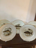 Fish-themed porcelain plates with gold rims - thumbnail 1 of 6
