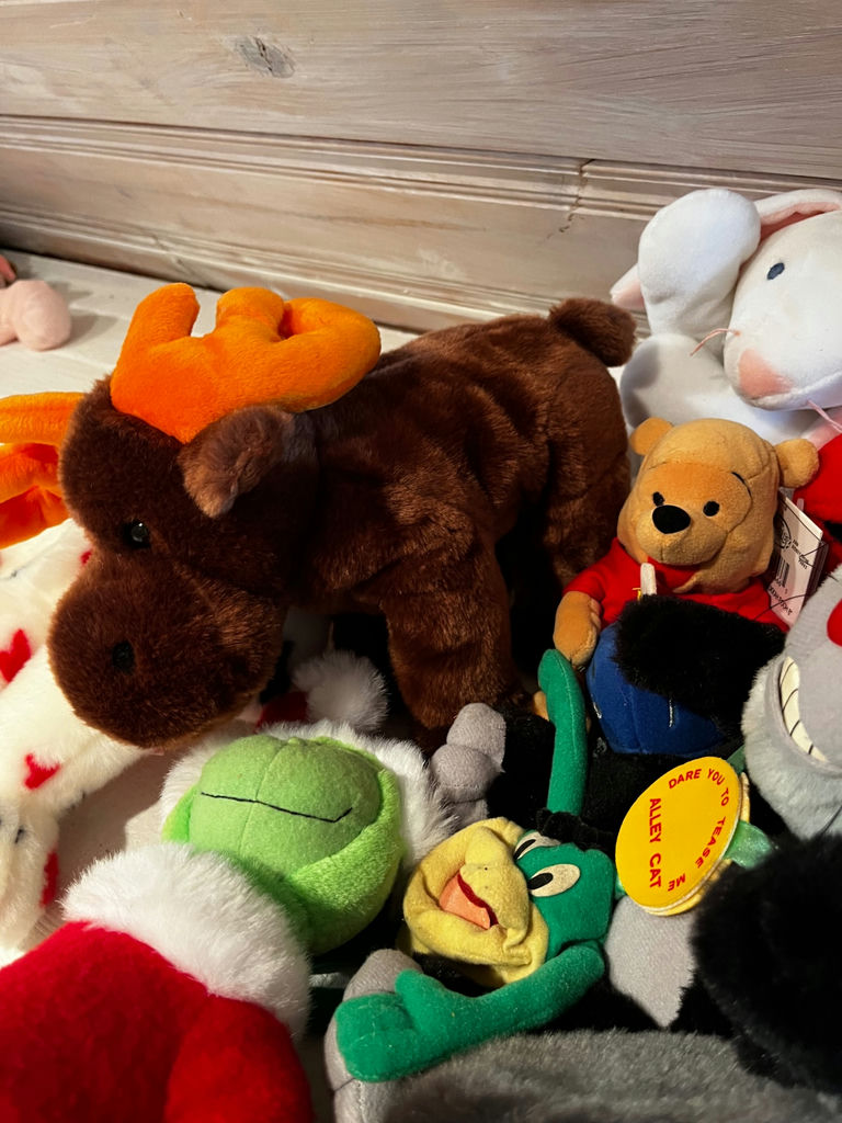 Assorted Ty Plush Toys - image 6 of 6