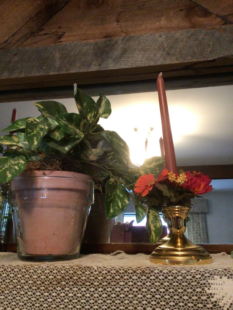 Candle holders and potted plants - image 3 of 3