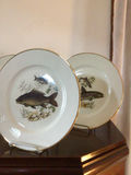 Fish-themed porcelain plates with gold rims - thumbnail 3 of 6