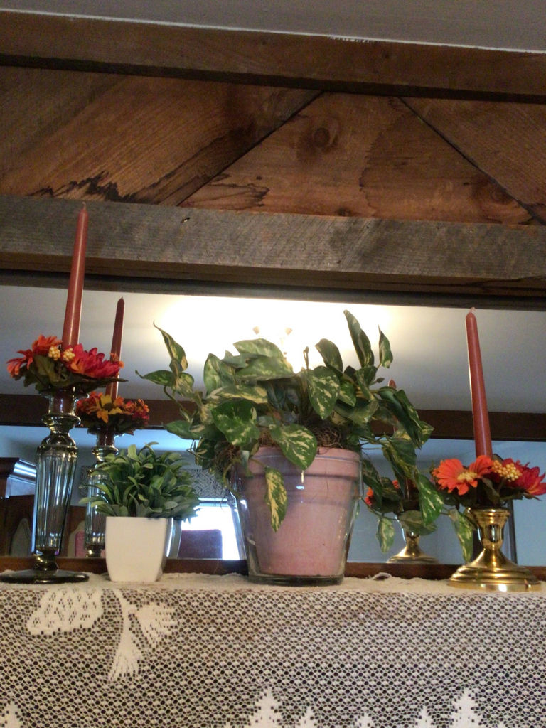 Candle holders and potted plants  - image 1 of 3