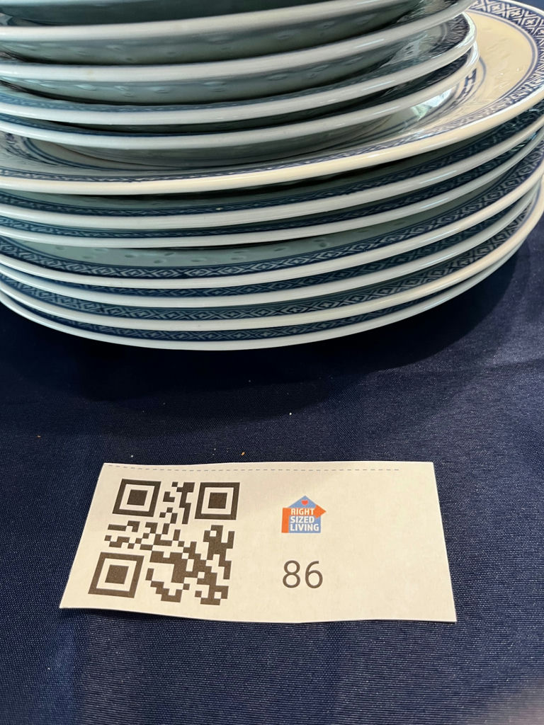 Blue and White Dragon Pattern Dinner Plates - image 1 of 3