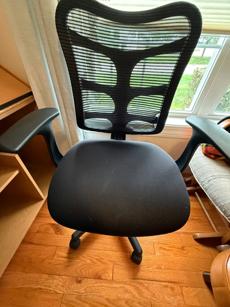 Black Mesh Office Chair - image 1 of 3