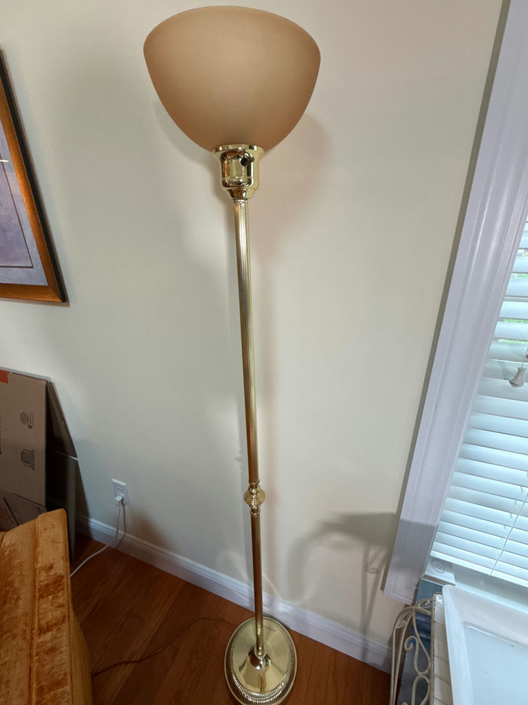 Brass Floor Lamp with Frosted Glass Shade - image 1 of 3