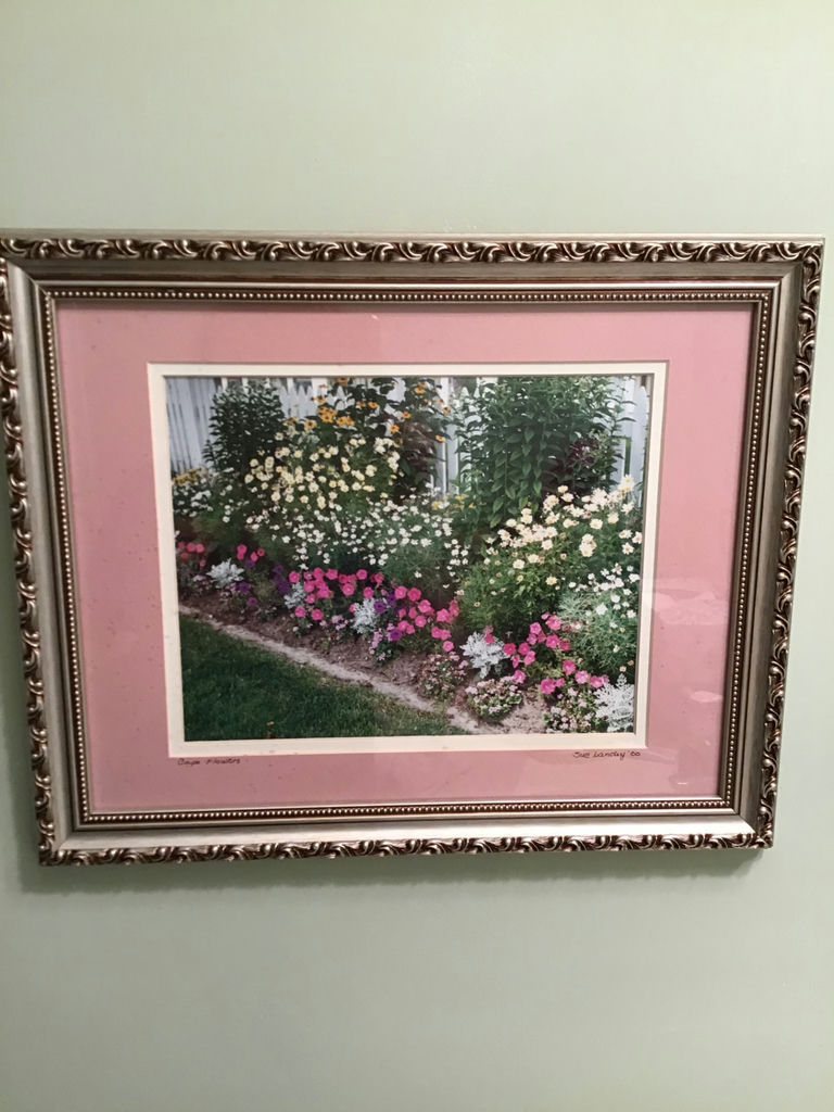 Framed Floral Print and Decorative Painted Pan - image 1 of 4