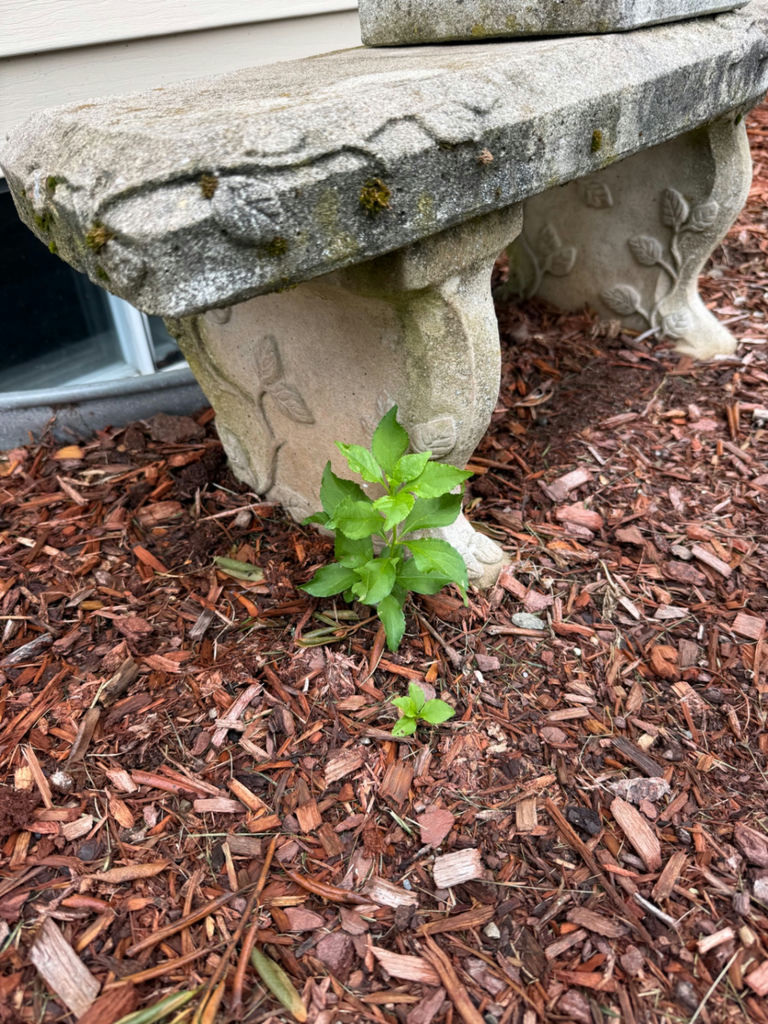 Decorative Stone Garden Bench - image 1 of 2