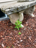 Decorative Stone Garden Bench - thumbnail 1 of 2