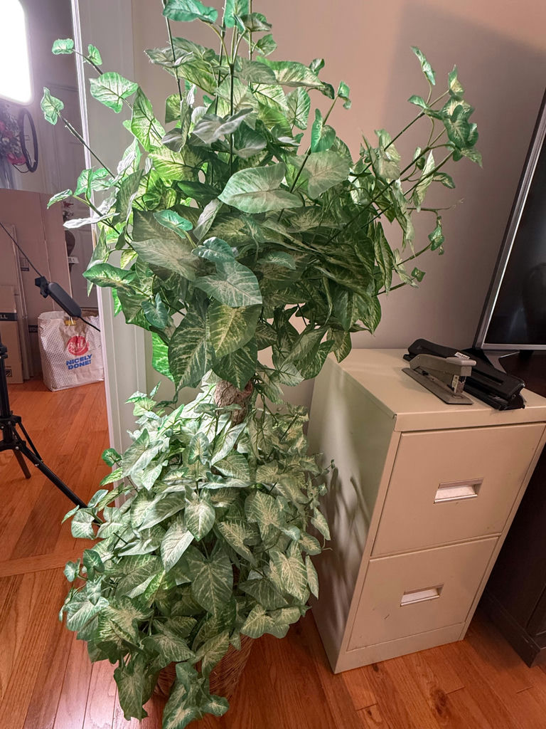 Artificial Potted Tree with Variegated Green Leaves - image 3 of 3