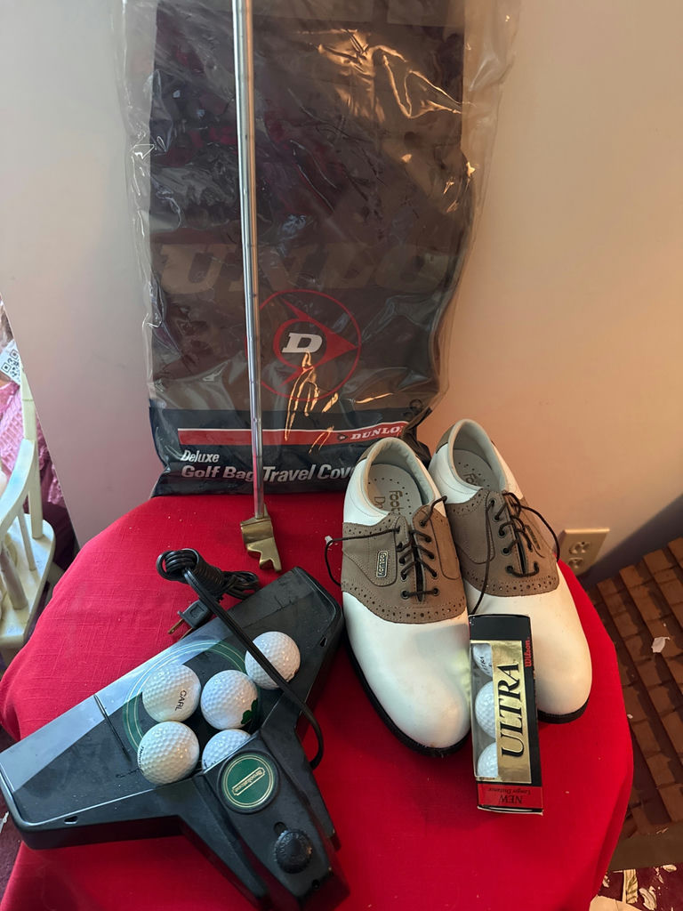 Golf travel bag, clubs, shoes, and training device - image 2 of 5