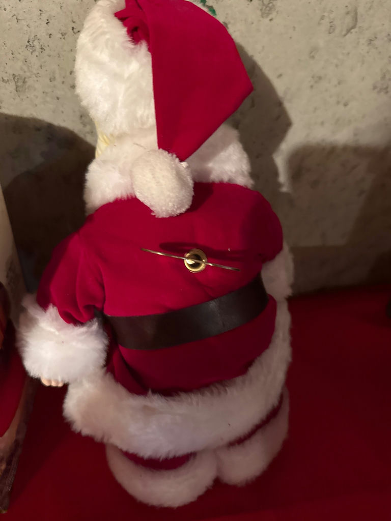 Christmas Santa decorations and lights - image 5 of 5