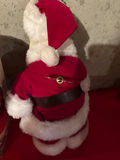 Christmas Santa decorations and lights - thumbnail 5 of 5