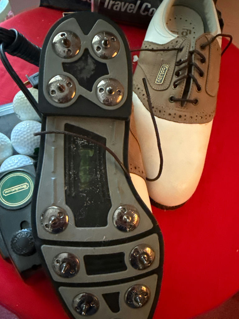 Golf travel bag, clubs, shoes, and training device - image 5 of 5