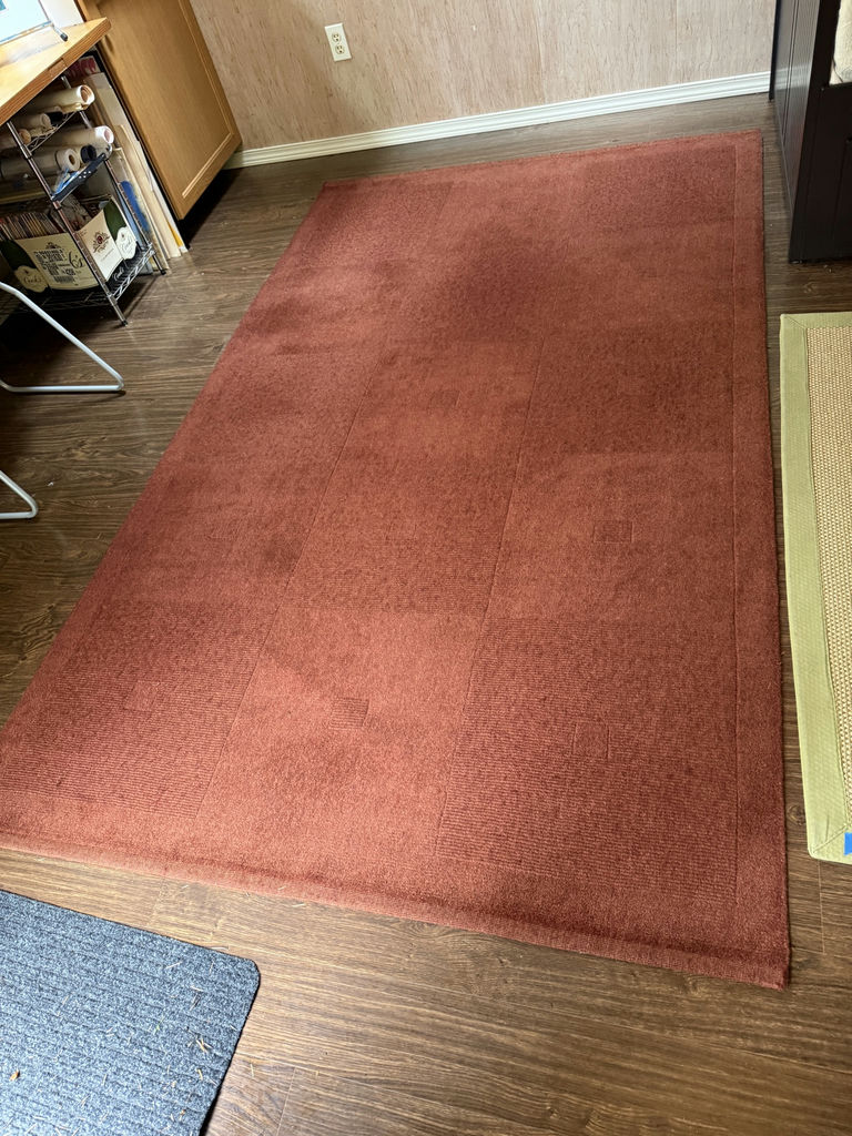 Rust Colored Area Rug - image 2 of 3