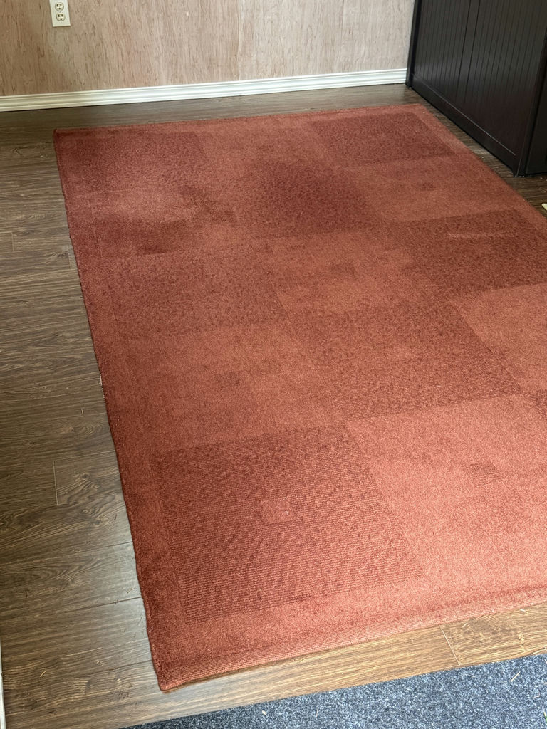Rust Colored Area Rug - image 1 of 3