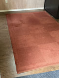 Rust Colored Area Rug - thumbnail 1 of 3