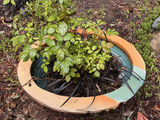 Garden statues and decorative planter - thumbnail 2 of 6