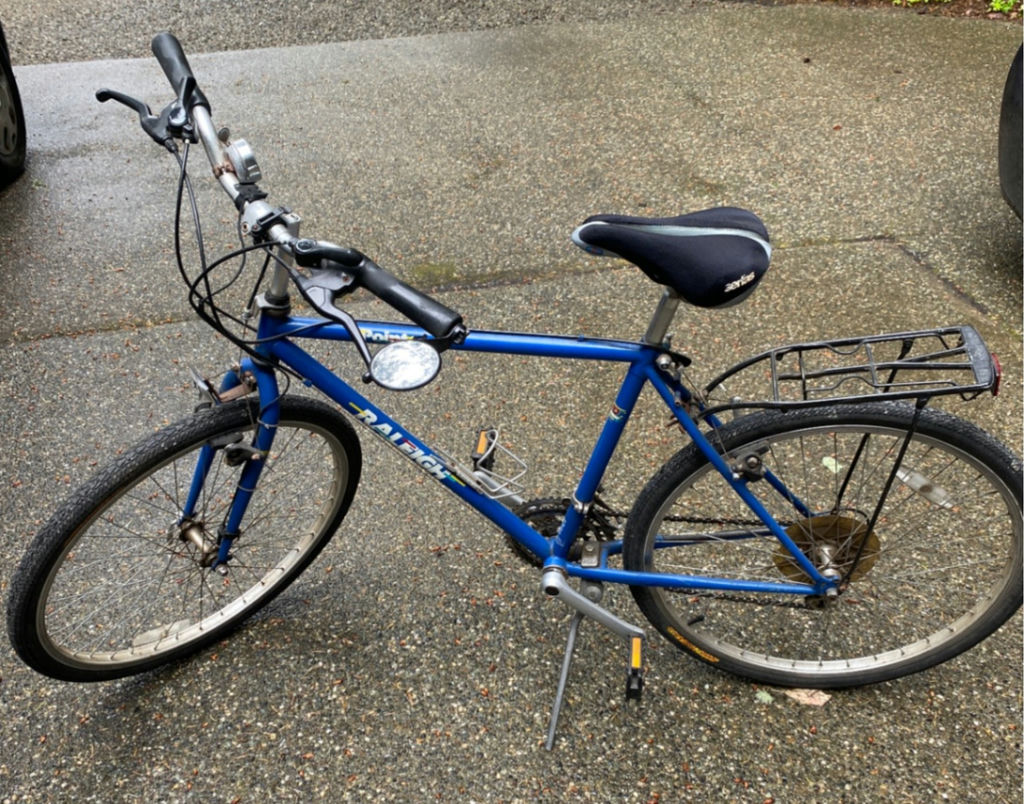 Raleigh Bicycle - image 1 of 5