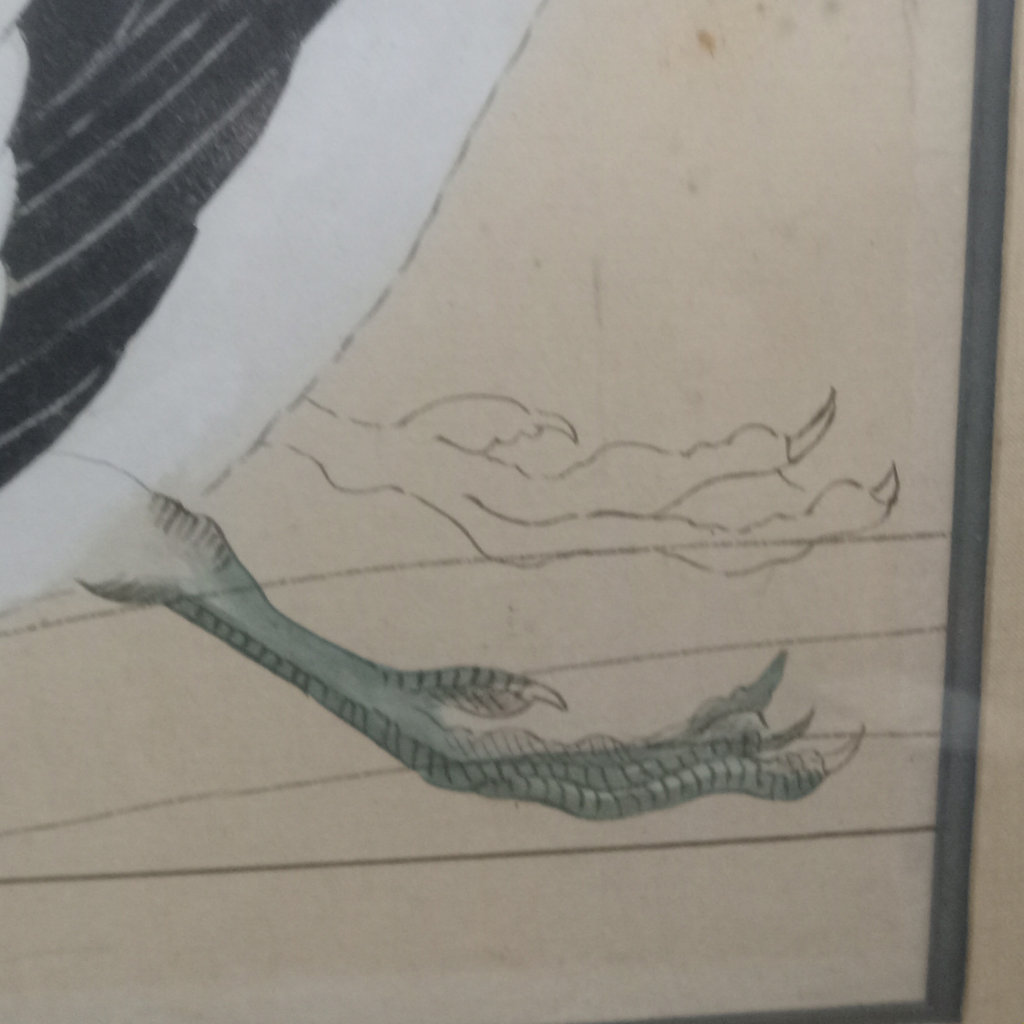 Asian Bird Woodblock Prints - image 5 of 13