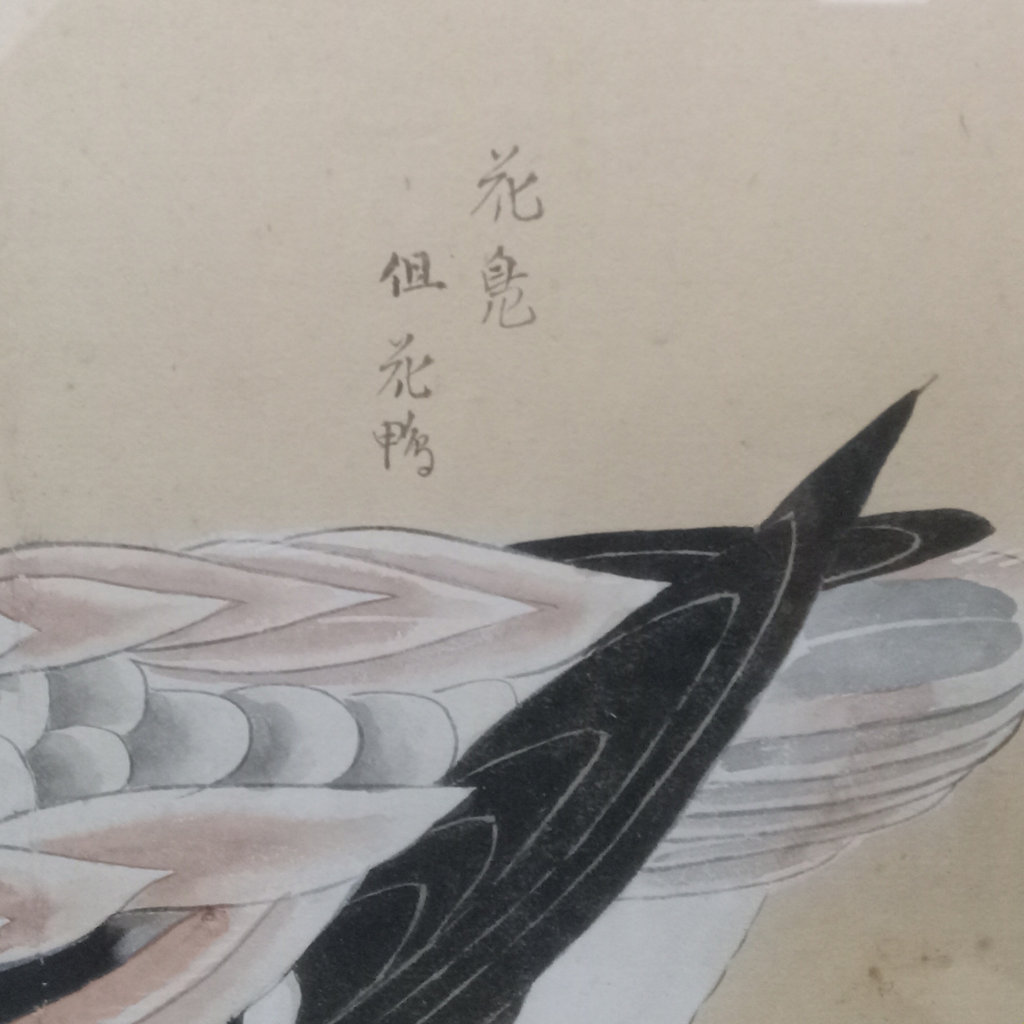 Asian Bird Woodblock Prints - image 4 of 13