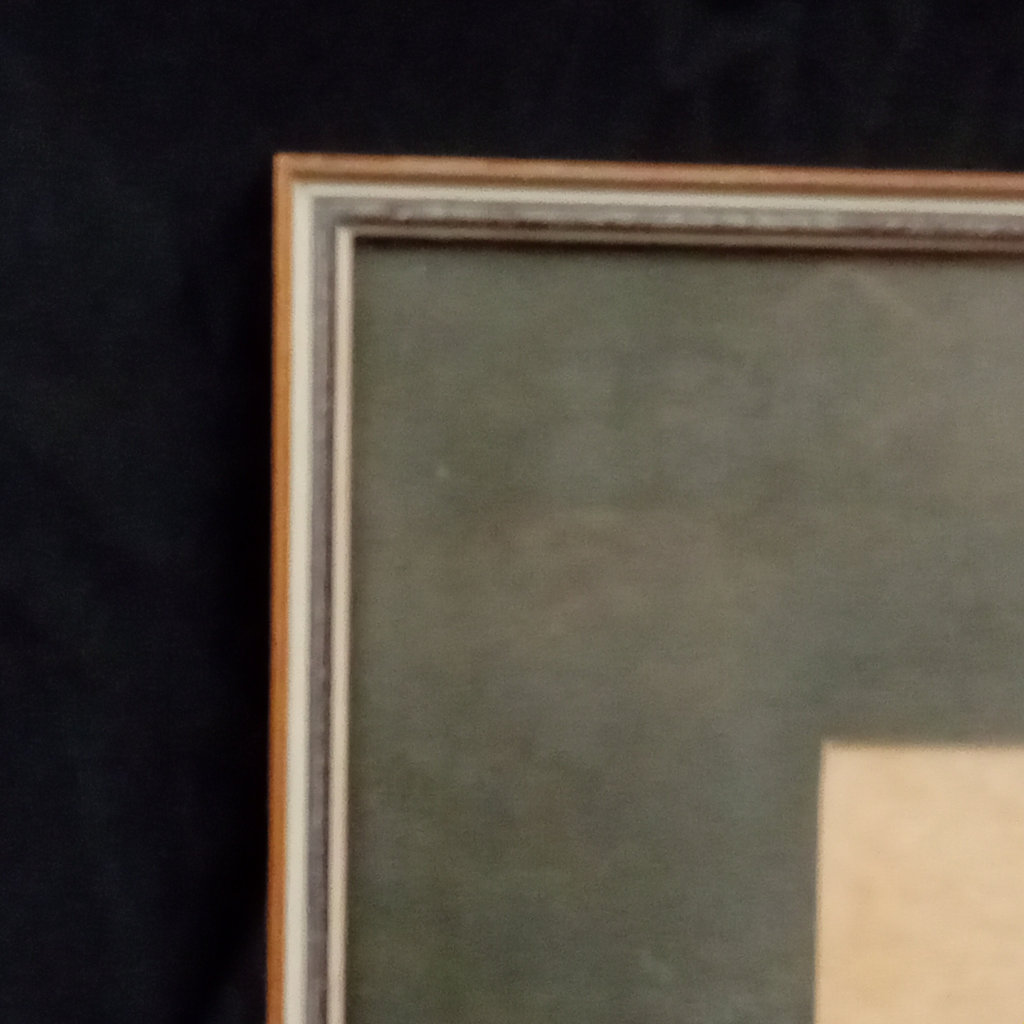 Framed Cat Print - image 5 of 7