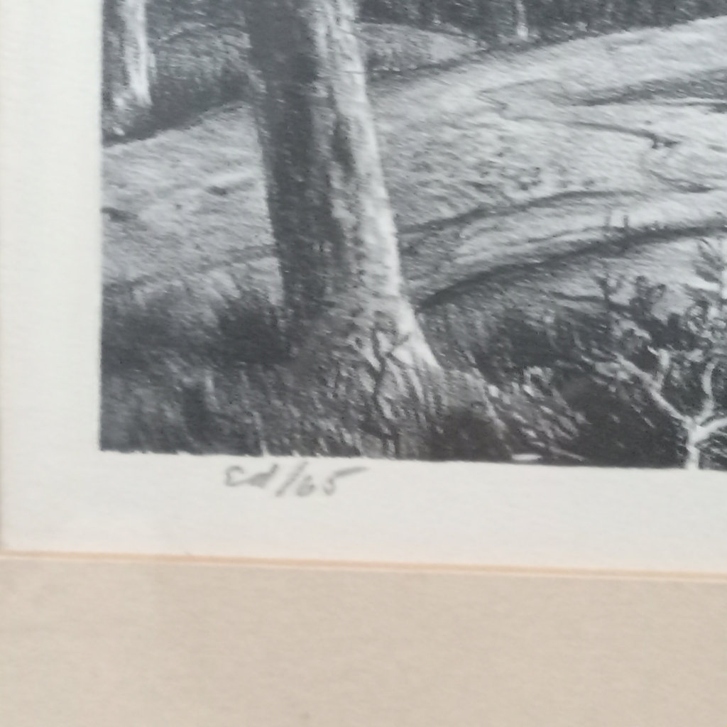 Wengenroth Framed Lithographs - image 11 of 15