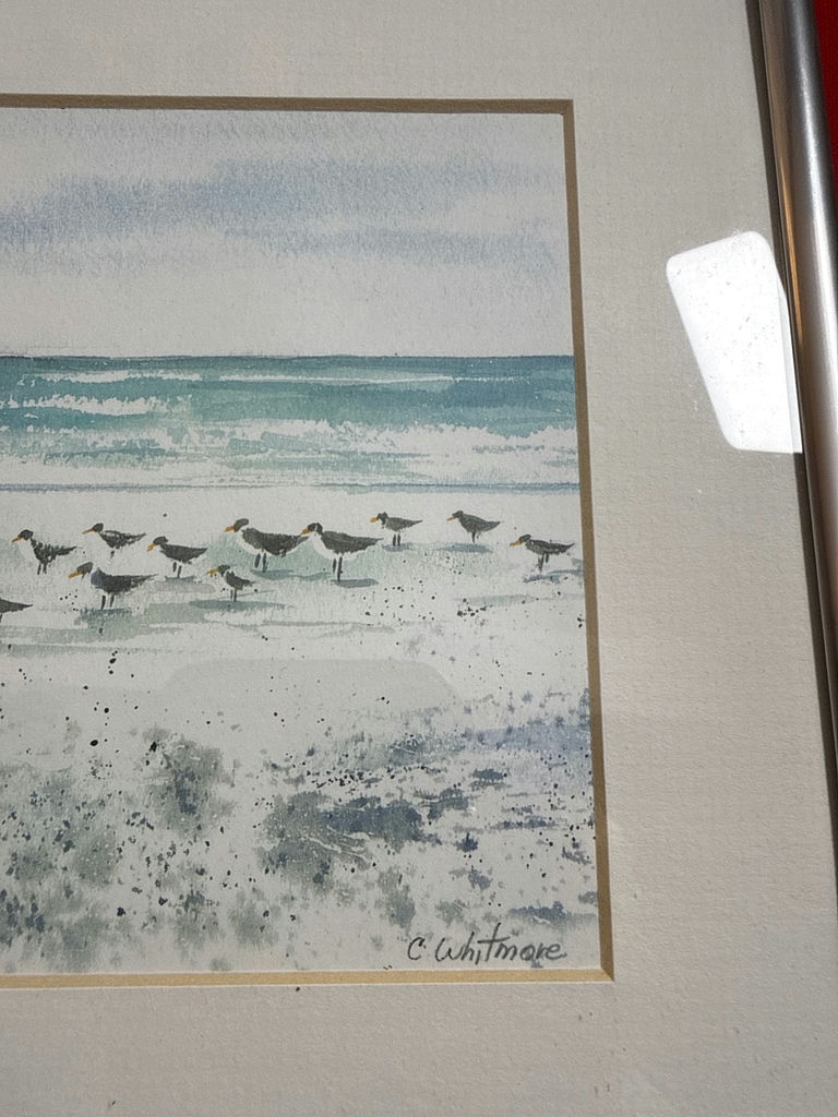 Gulf Birds framed print - image 2 of 4