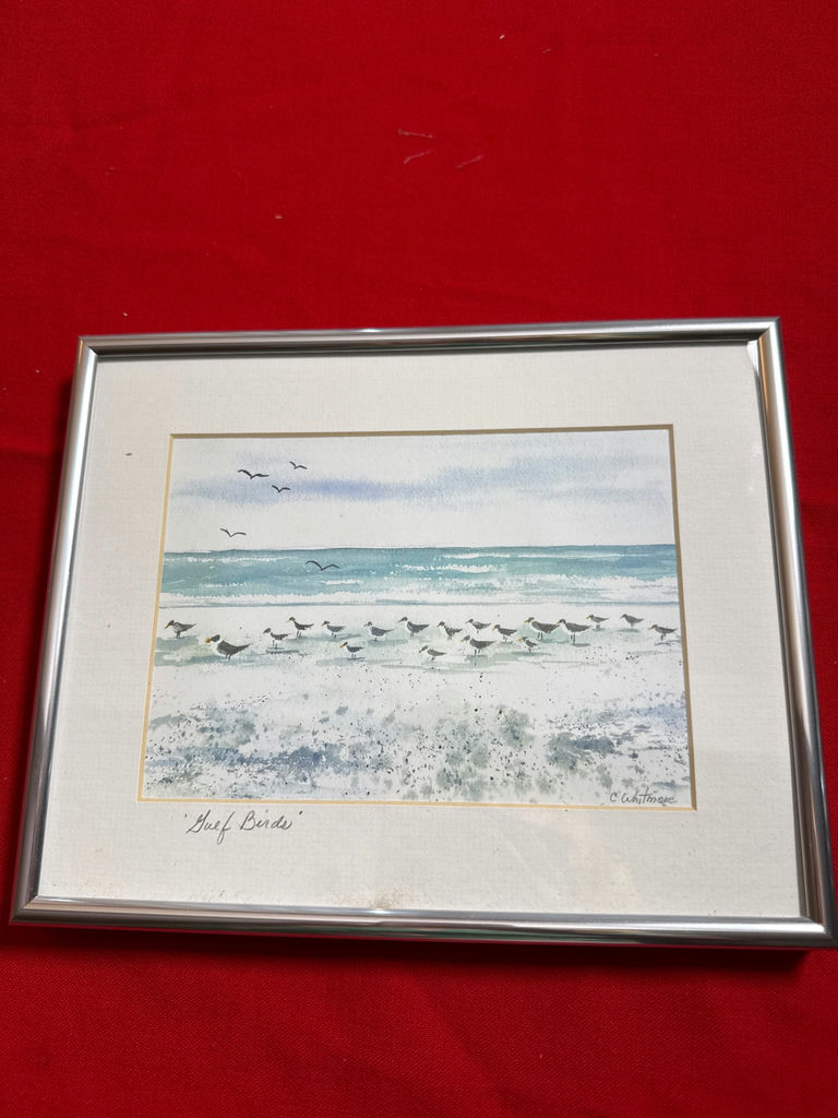 Gulf Birds framed print - image 1 of 4