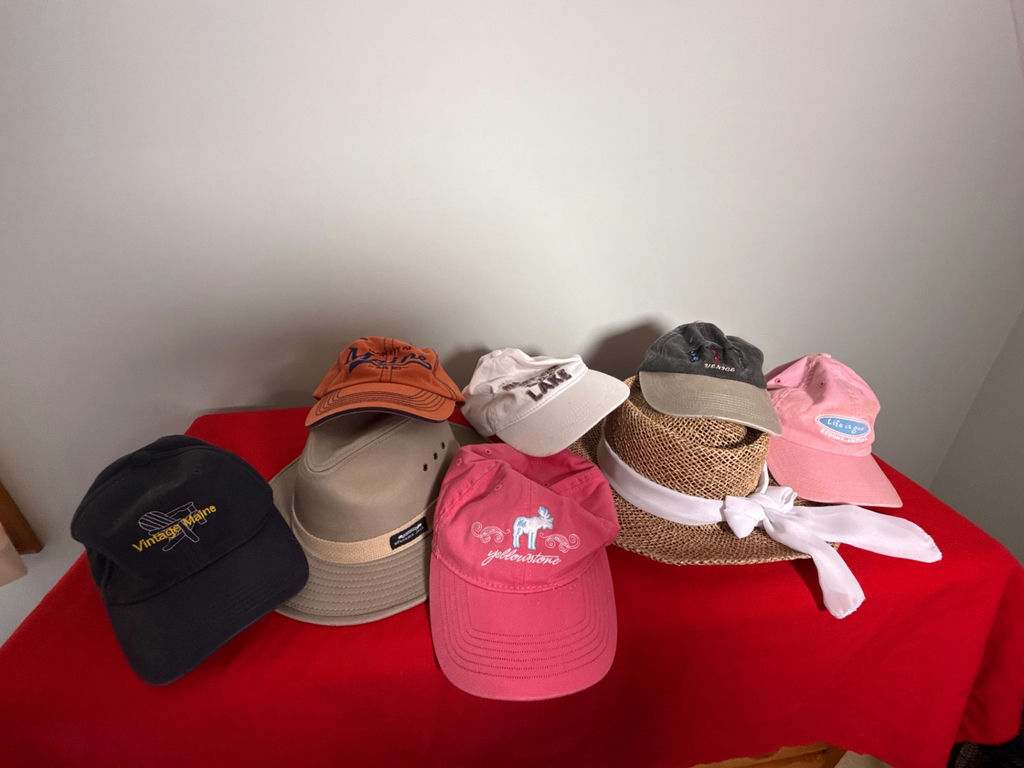 Assorted Hats and Caps - image 1 of 4