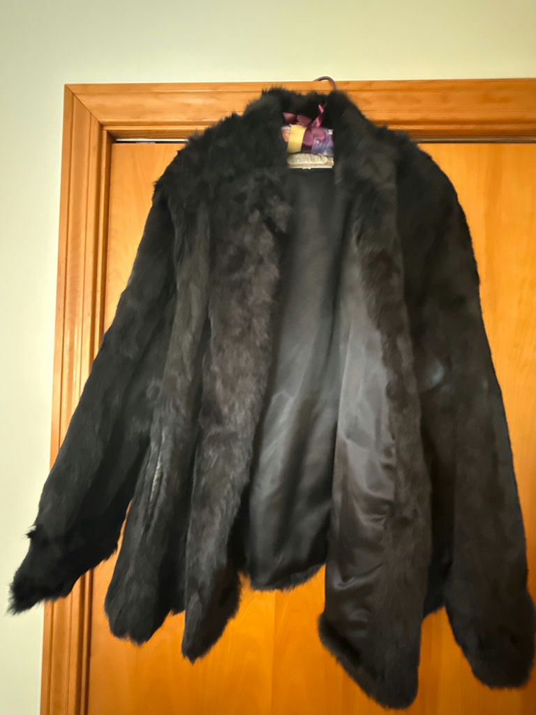 Black Fur Coat - image 1 of 3
