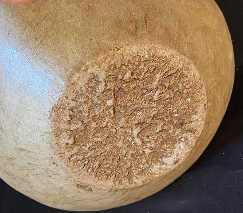 Bone bowl with bone fragments - image 5 of 5