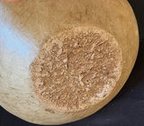 Bone bowl with bone fragments - thumbnail 5 of 5