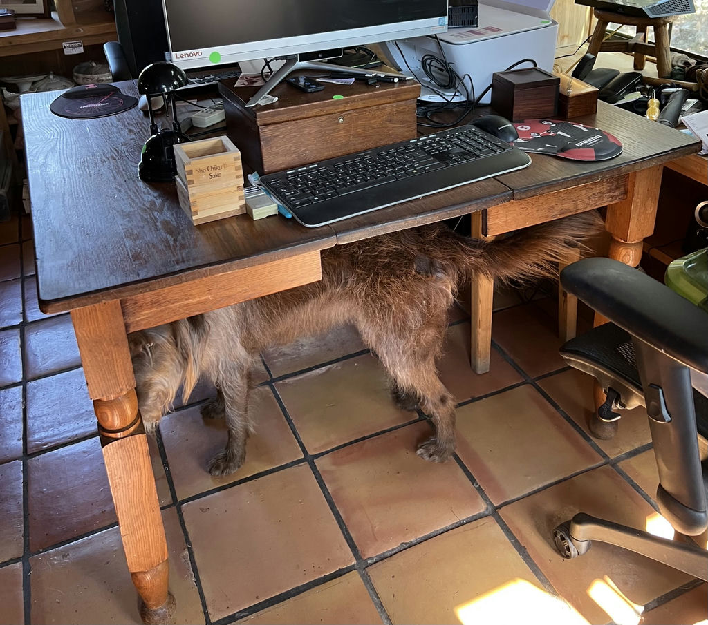 Oak Table - image 2 of 2