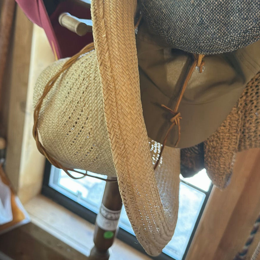 Assorted Hats on a Hat Stand - image 8 of 8