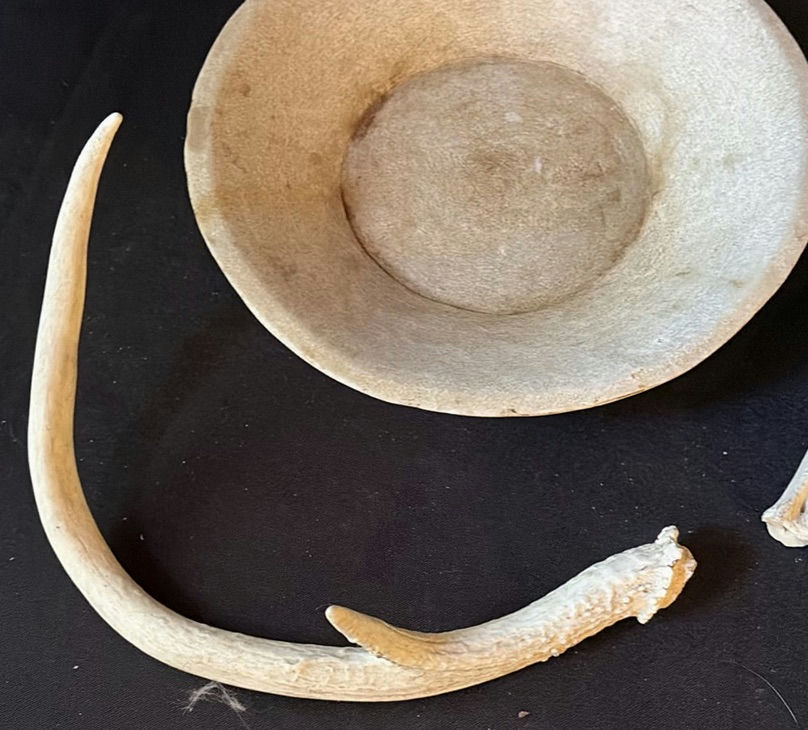 Bone bowl with bone fragments - image 4 of 5