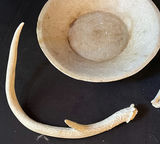 Bone bowl with bone fragments - thumbnail 4 of 5