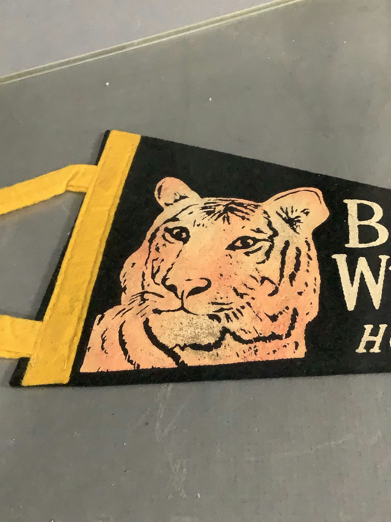 Vintage Novelty/Souvenir Pennants - 1936 White Mts & More - image 8 of 18