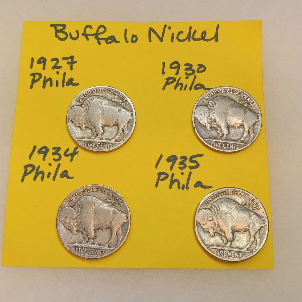 US Nickels - Liberty Head V, Buffalo, War Nickels & More (6.4dwt) - image 5 of 10