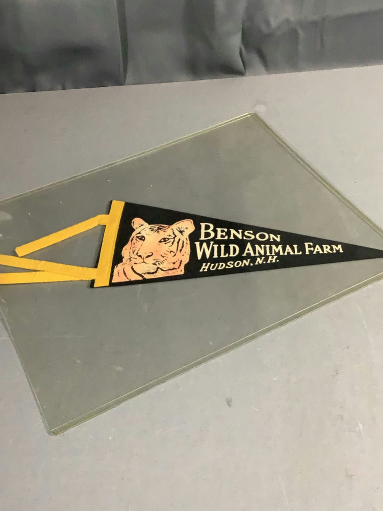 Vintage Novelty/Souvenir Pennants - 1936 White Mts & More - image 7 of 18