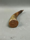 Antique Muzzle Loader Black Powder Horn - thumbnail 5 of 6