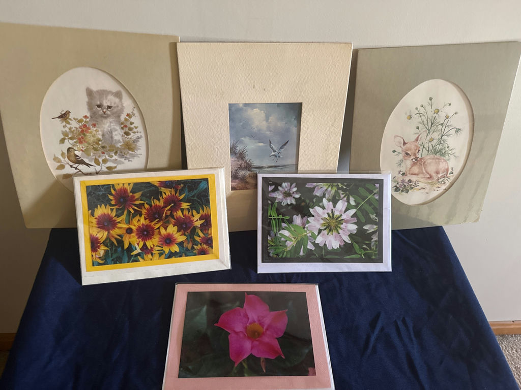 Six framed animal and floral art prints - image 2 of 3