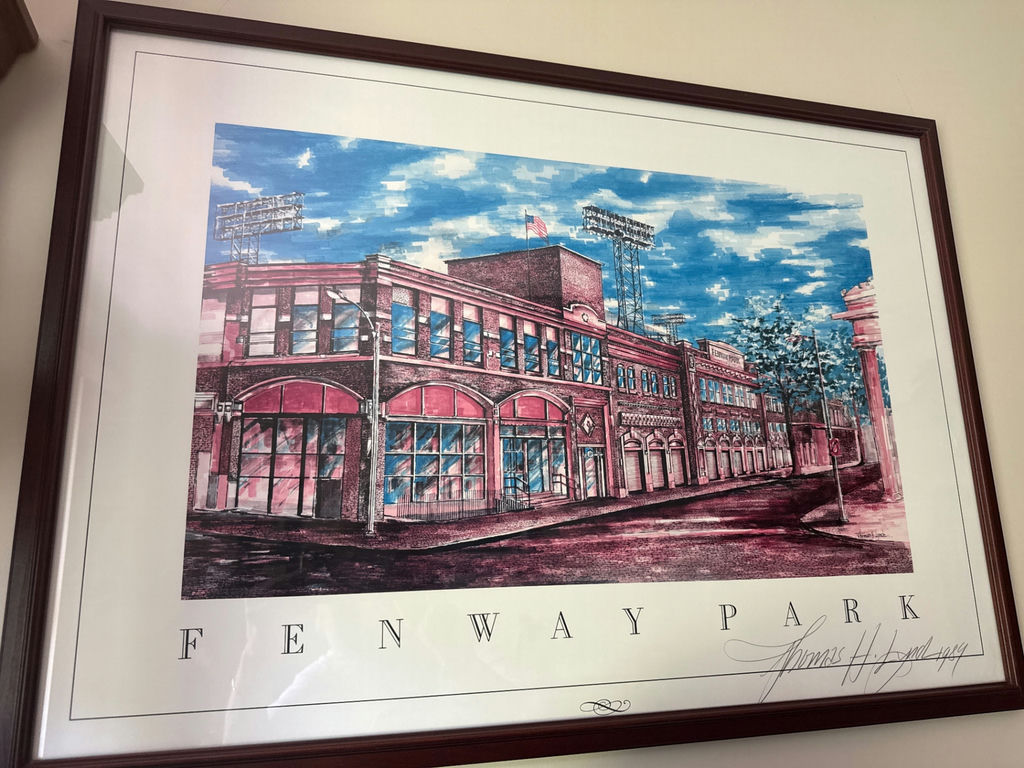 Fenway Park Framed Art Print - image 1 of 4