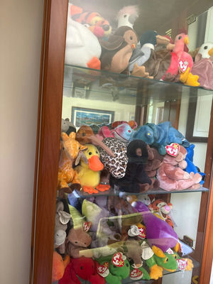 Beanie Babies and Plush Animal Collection in Cabinet - Image 1 of 5